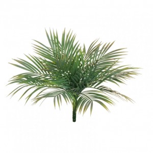 PALMA ARECA BUSH X14 CM48 BU-green pink*