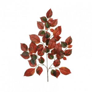 BEECH LEAF X3 H56 -dark orange green *