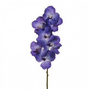 ORCHIDEA VANDA X7 H78 OR - violet *