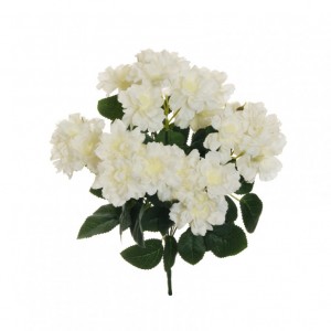 ROSE BUSH floribunda X7 H40 - white *