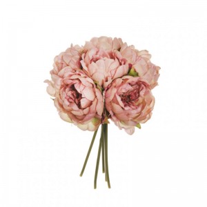 PEONY BUSH X6 H29 PE - mauve *