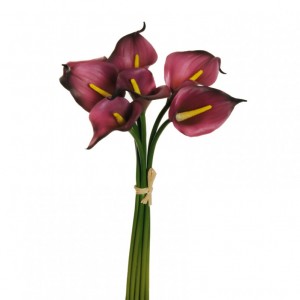 CALLA MAZZO X7 H34 cm CA - purple*