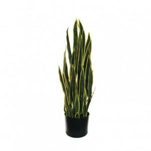 PIANTA SANSEVERIA H112 c/vaso PN-green*