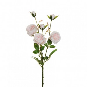 ROSA austin X3 H67 RO-light pink *