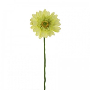 GERBERA D11,5 H61cm GE - lightgreen *