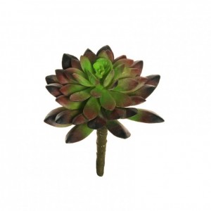 ECHEVERIA D10 H13,5 PG-burgundy/green*