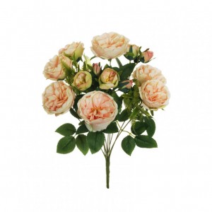 ROSA austin BUSH X10 H48 RO - salmone*