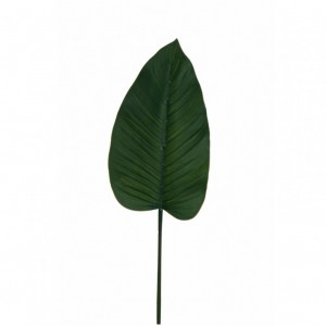 FOGLIA FILODENDRO H35 FO - green*