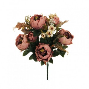 PEONIA BUSH X13 H52 PE - mauve/cream*