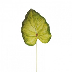 FOGLIA SYNGONIUM H57 FO - light green *