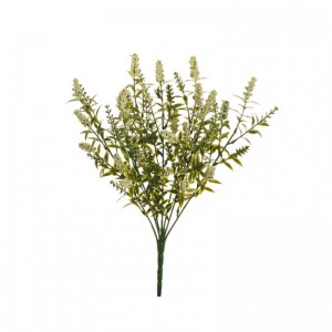 LIGUSTRUM BUSH X7 H40 BU - cream *