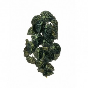 ANTHURIUM BUSH CADENTE X33CM53 CD-green*