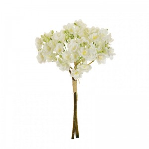 SAPONARIA mazzo X4 H39 SA - white *