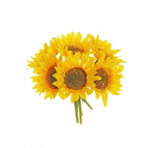 GIRASOLE BUSH X6 H22 GI - yellow *