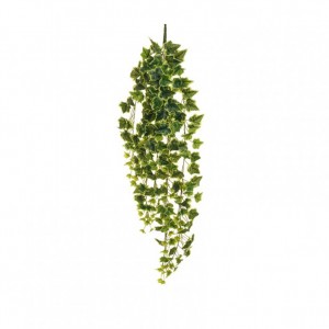 EDERA BUSH CADENTE H110 ED-variegated*