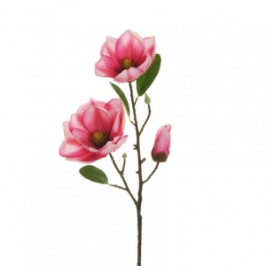 MAGNOLIA RAMO X3 H54 MA- mauve fucsia*