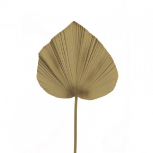 PALMA foglia 32X34 H100 FO - beige*