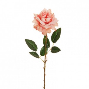 ROSA WILD X1 H62 RO - pink/salmon *