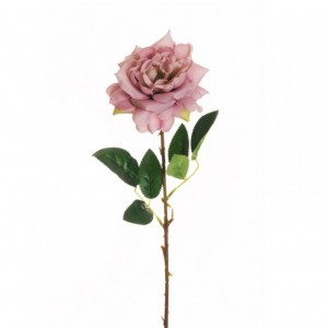 ROSA WILD X1 H62 RO - lilac *