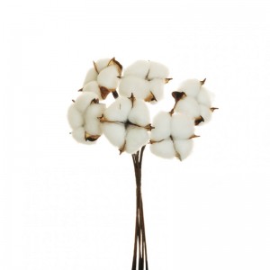 COTONE MAZZO H31 CO - white *