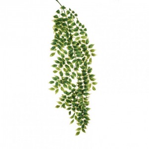 MAHONIA CADENTE H136 - green yellow*