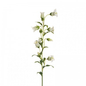 CAMPANULA RAMO H86 CA - white*