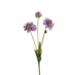 SCABIOSA ramo X3 H47 SC - lavender*