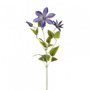 CLEMATIS ramo X3 H72 CL-violet/lavender*