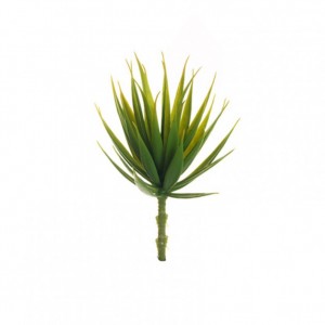 ALOE D11 H22 PG - light green *