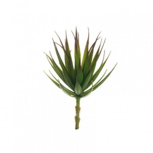 ALOE D11 H22 PG - green/violet *