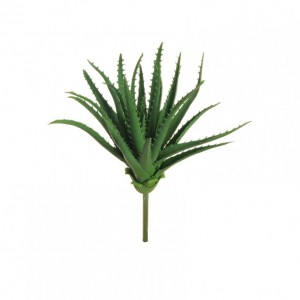 ALOE H32 PG - green*