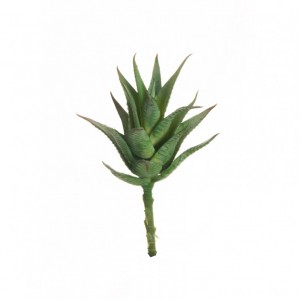 AGAVE D9 H20 PG - green*