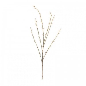 SALICE RAMO X6 H110 SA - cream pink*