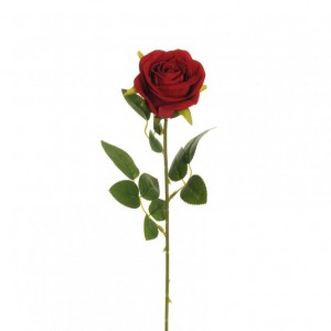ROSA VELVET H51 RO - red *