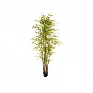 PIANTA BAMBOO h180 c/vaso D15 H12,8 *