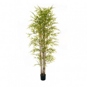 PIANTA BAMBOO H210 c/vaso D18 H17 *