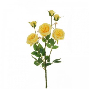 ROSA austin X3 H67 RO - yellow *