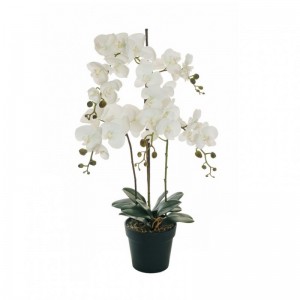 PIANTA ORCHIDEA H90 c/vaso PN -white*