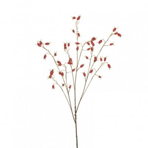 BACCA ROSA RAMO H106 BA - red *