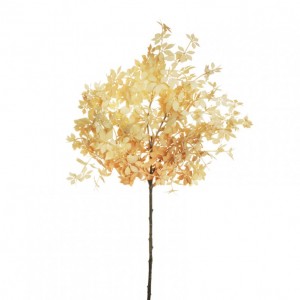 RAMO FOGLIA UVA AMERIC.H59 FO-cream*