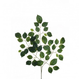 FOGLIA FAGGIO X3 H67 FO - green*