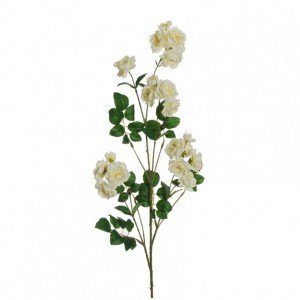 ROSA DOGWOOD ramo H97 RO - cream*