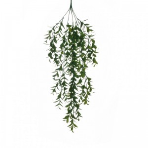 MIRTO CADENTE X5 H77 CD - green*