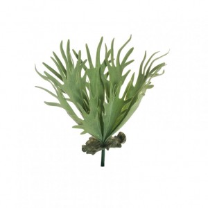 CORNA DI CERVO mazzo H49 BU - green*