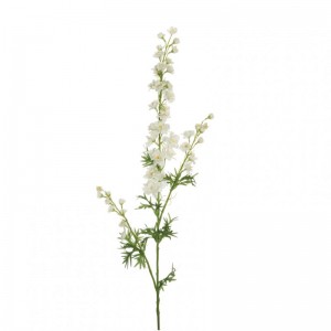 DELPHINIUM speronella X3 H86 DE - white*