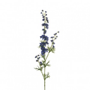 DELPHINIUM speronella X3 H86 DE-violet*