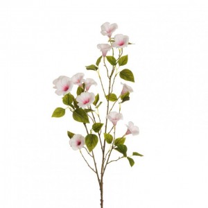 PETUNIA ramo H110 PE - white fucsia *