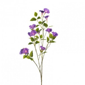 PETUNIA ramo H110 PE - violet fucsia *
