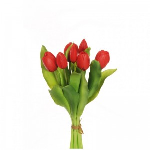 TULIPANO X7 H32 TU - red *