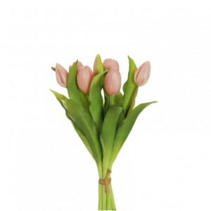 TULIPANO X7 H32 TU - pink *